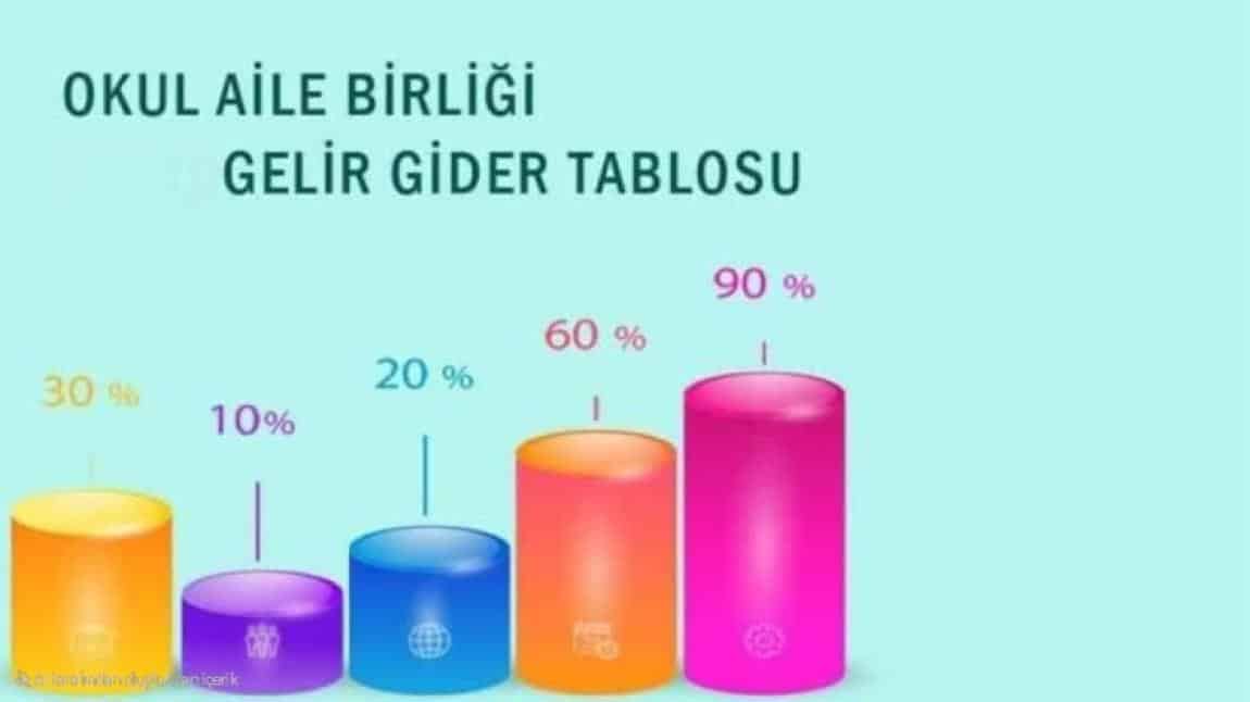 Okul Aile Birliği gelir gider tablosu